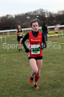 Womens under-17s and under-20s North Eastern Cross Country, Redcar. Photo:  David T. Hewitson/Sports for All Pics